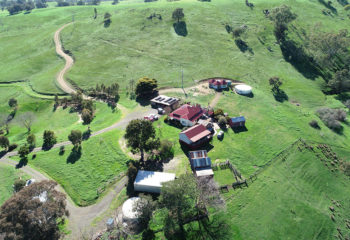 Farm-aerial-green